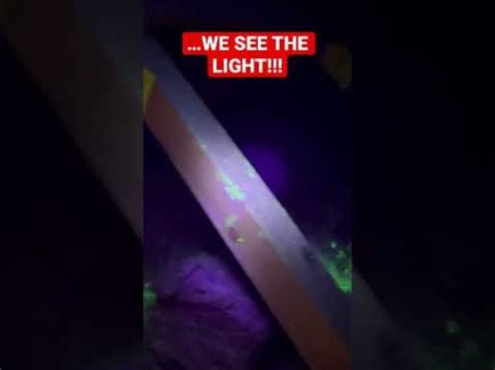Are rats afraid of bright lights?