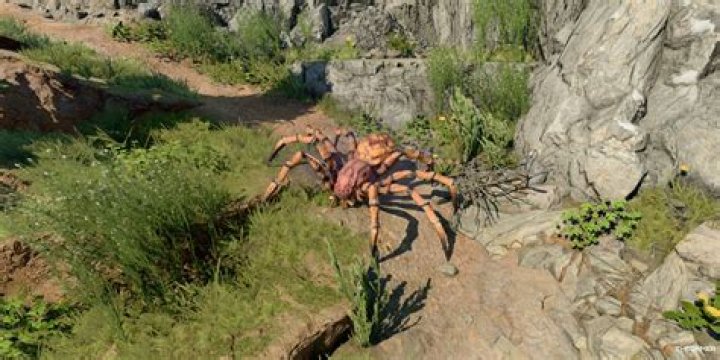 Are there spiders in Jungle Cruise?