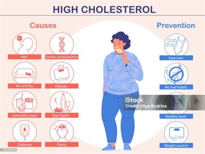 Can an infection cause high cholesterol?