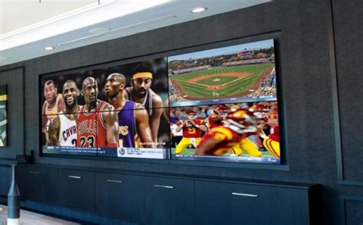Can birds see TV screens?
