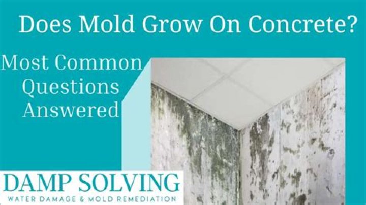 Can black mold grow on concrete?