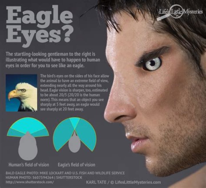 Can humans have eagle vision?