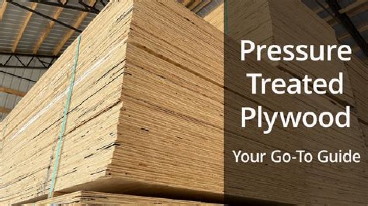 Can pressure treated plywood get rained on?
