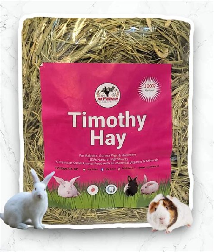 Can rabbits just eat timothy hay?