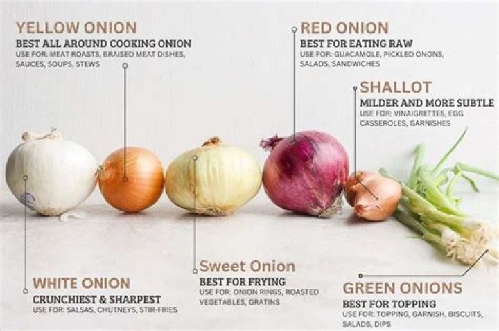Can raw onions be composted?