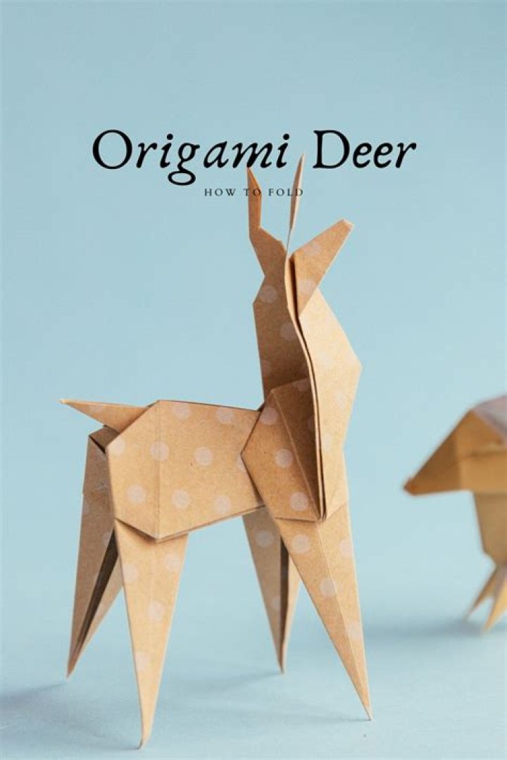 Can you put a deer out of its misery?