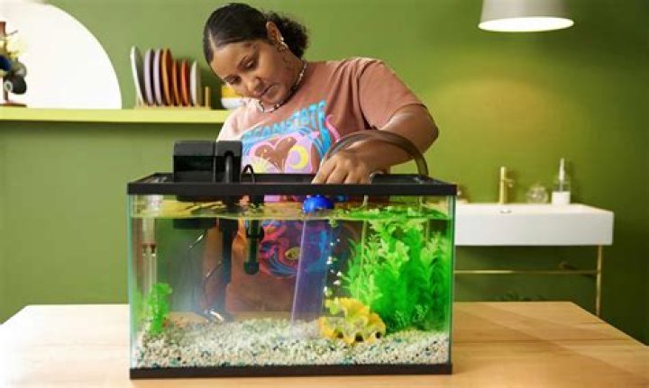 Can you put plastic objects in fish tank?