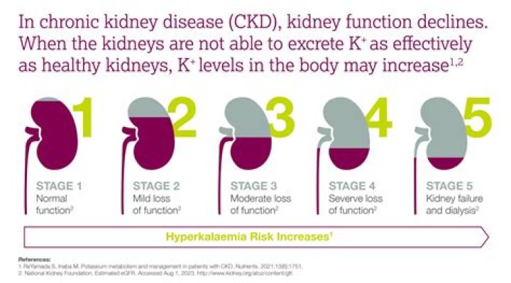 Can you reverse stage 5 kidney disease?