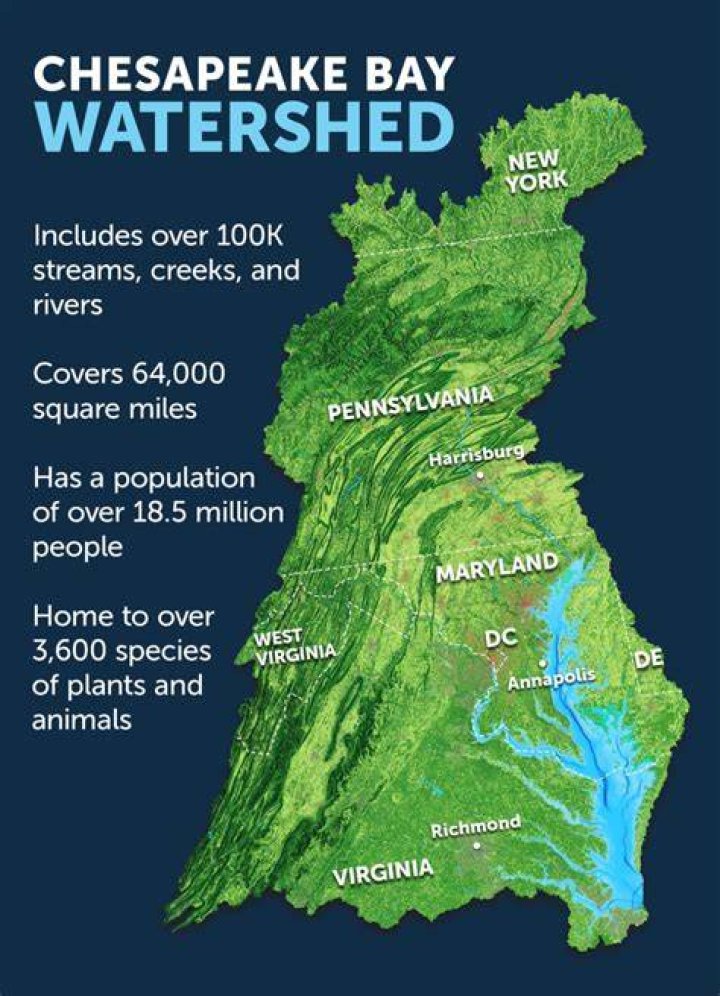 Chesapeake ___ (body of water)