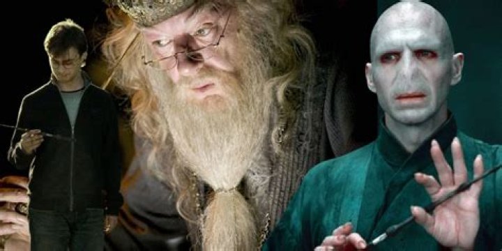 Could Harry beat Voldemort without the Elder Wand?