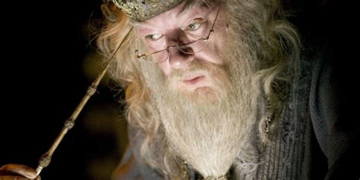 Did Grindelwald protect Dumbledore?