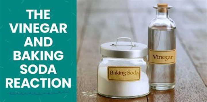 Does baking soda and vinegar work?