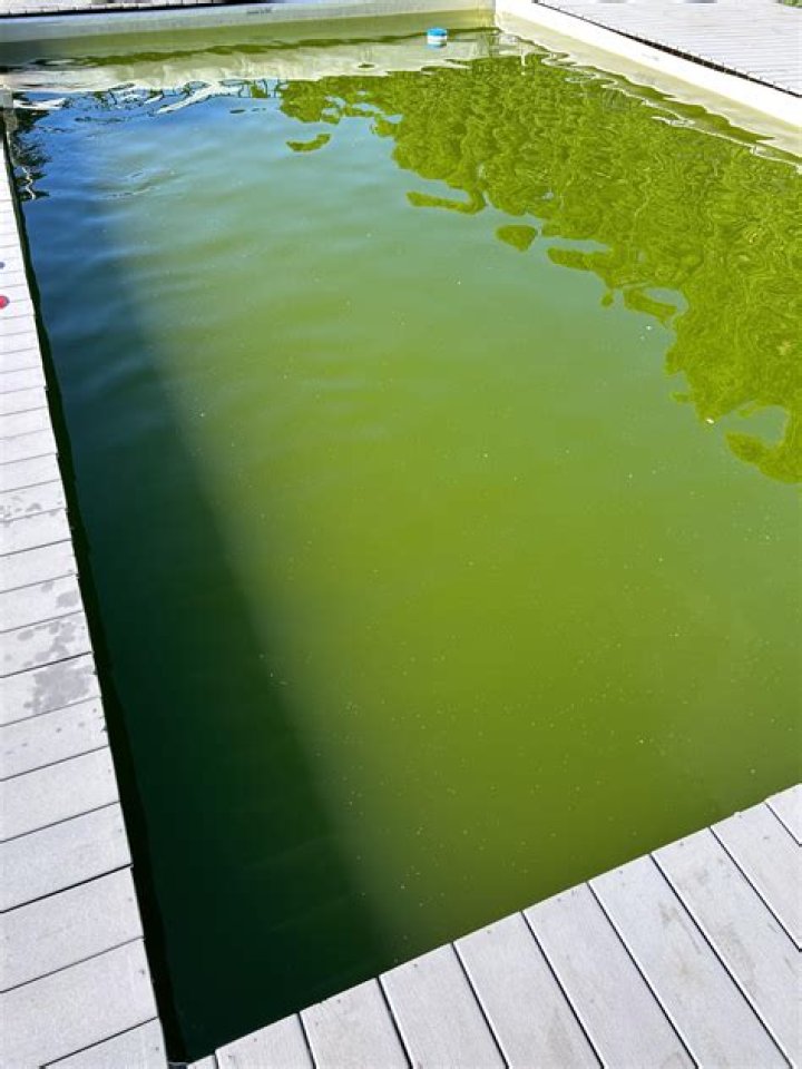 Does high pH turn pool green?