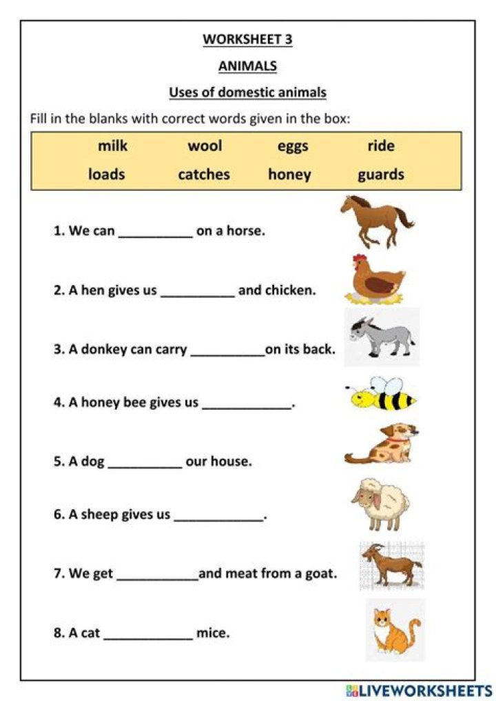 Does Laura test on animals?