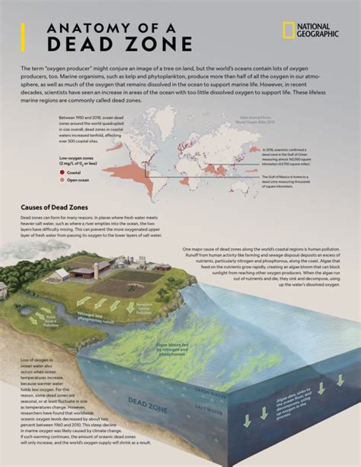 Does the ocean have a dead zone?