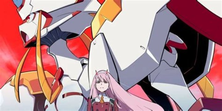 How are FRANXX piloted?