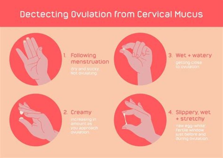 How can I make my ovulation stronger?