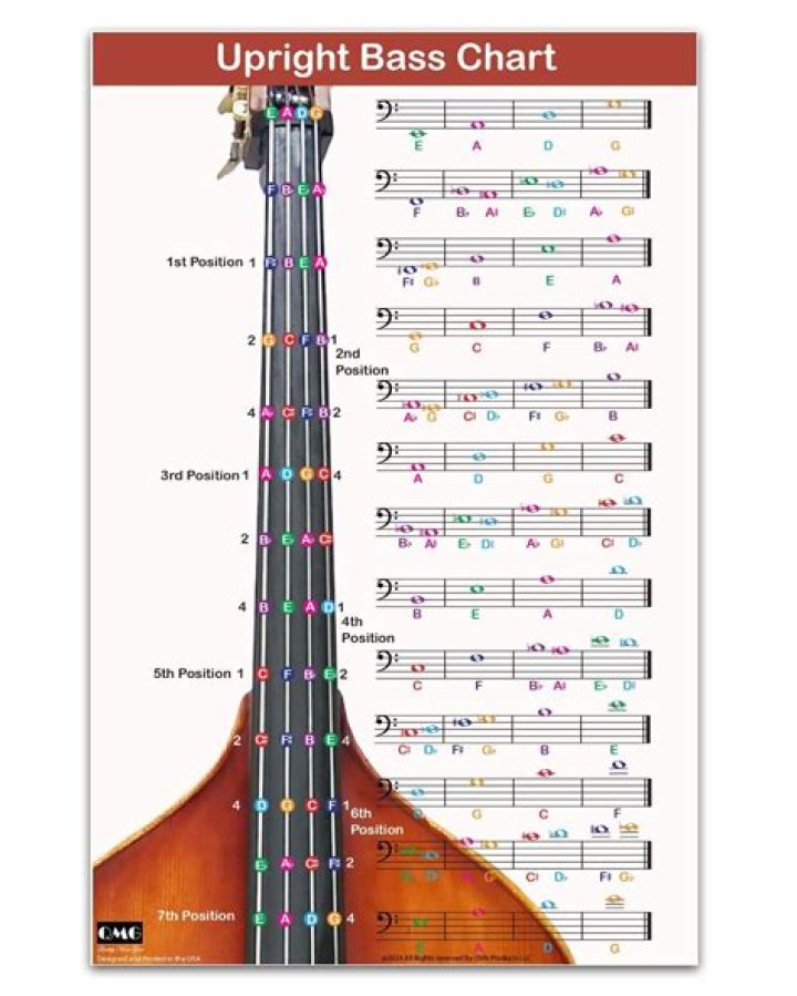 How do bass prevent blisters?