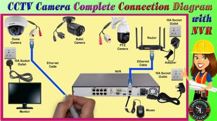 How do I connect my NVR to my network?