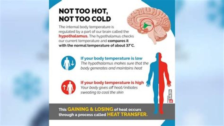 How do I get cold denial 2021?