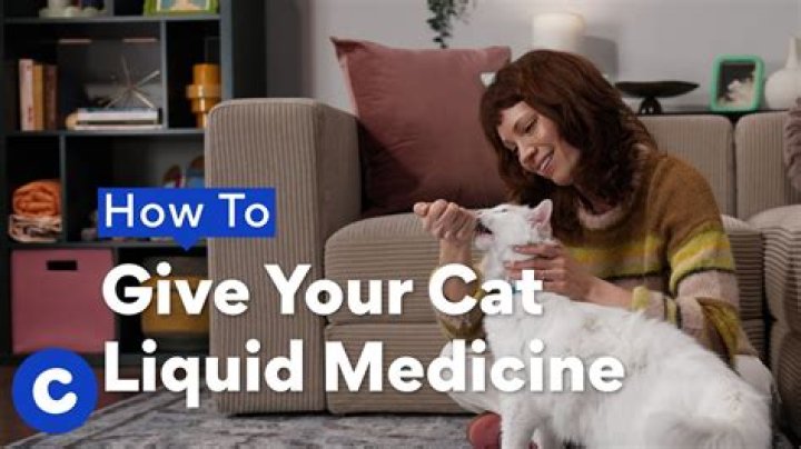 How do I give my plant calcium?