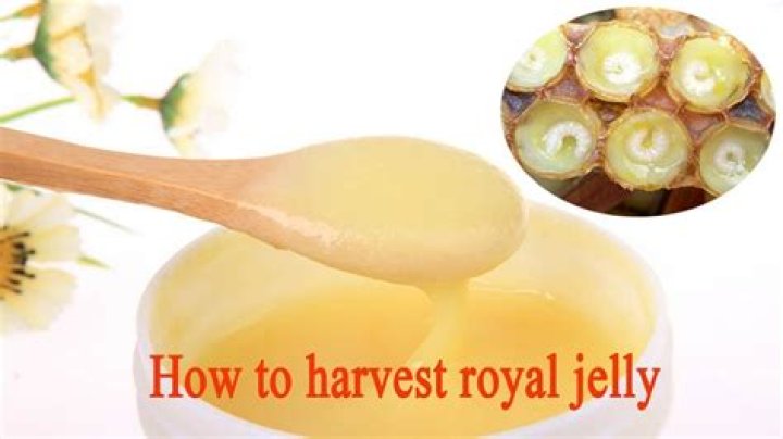 How do you take royal jelly?