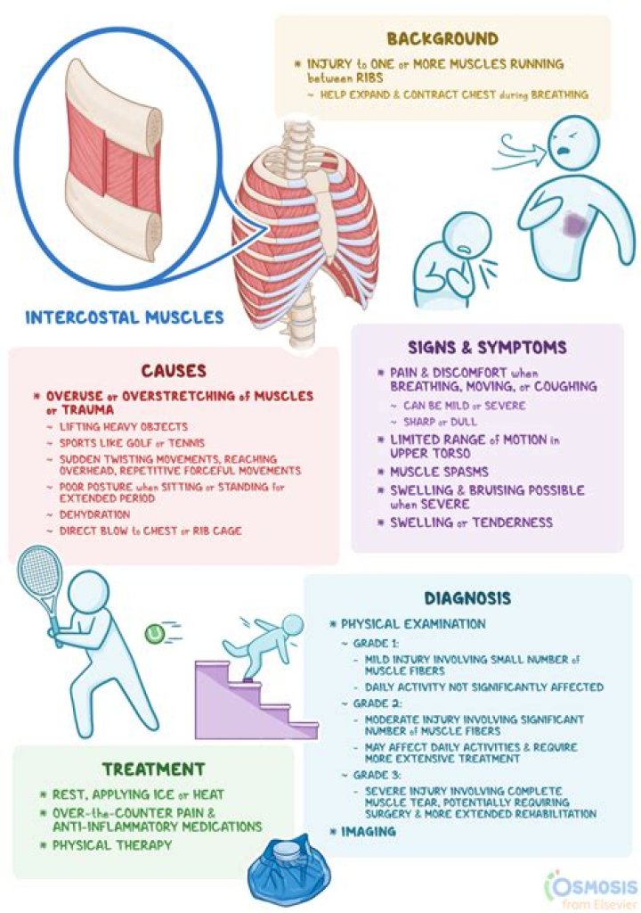 How long does it take stomach muscles to heal after C-section?