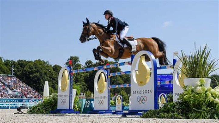 How much is a Olympic horse?