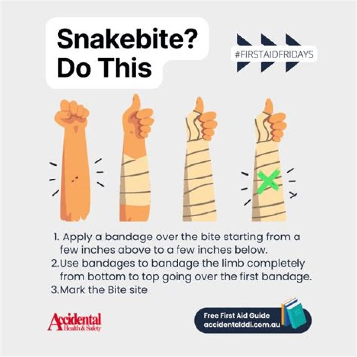How old is snakebite Andi in the book?