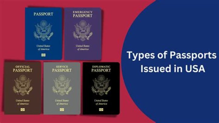 Is an emergency passport a valid passport?