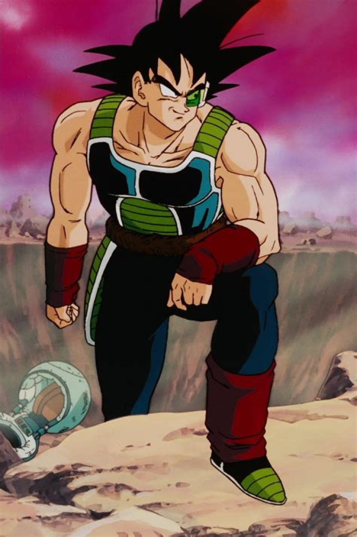 Is Bardock a vegetable?
