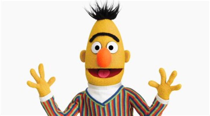 Is Bert a banana?