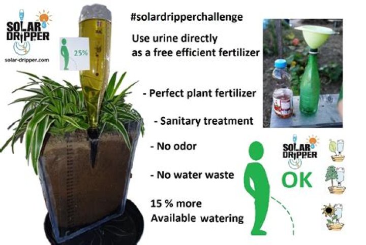 Is female urine good for plants?