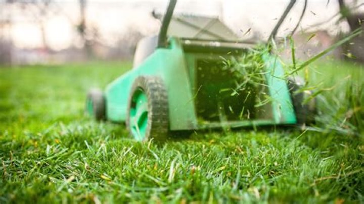 Is it good to leave grass cuttings on lawn?