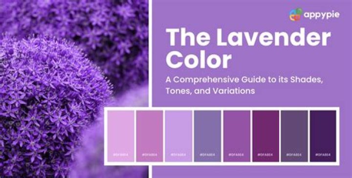 Is lavender an attractive scent?