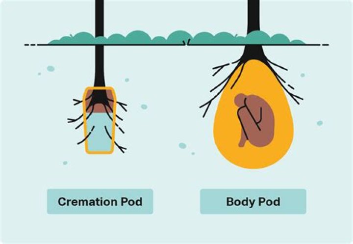 Is one body cremated at a time?