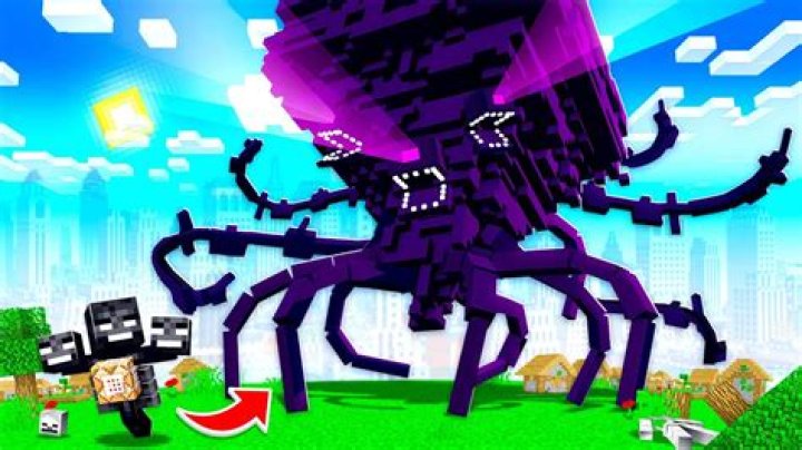 Is there a block the Wither cant destroy?