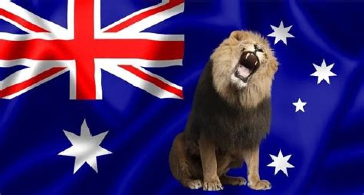 Is there Lions in Australia?