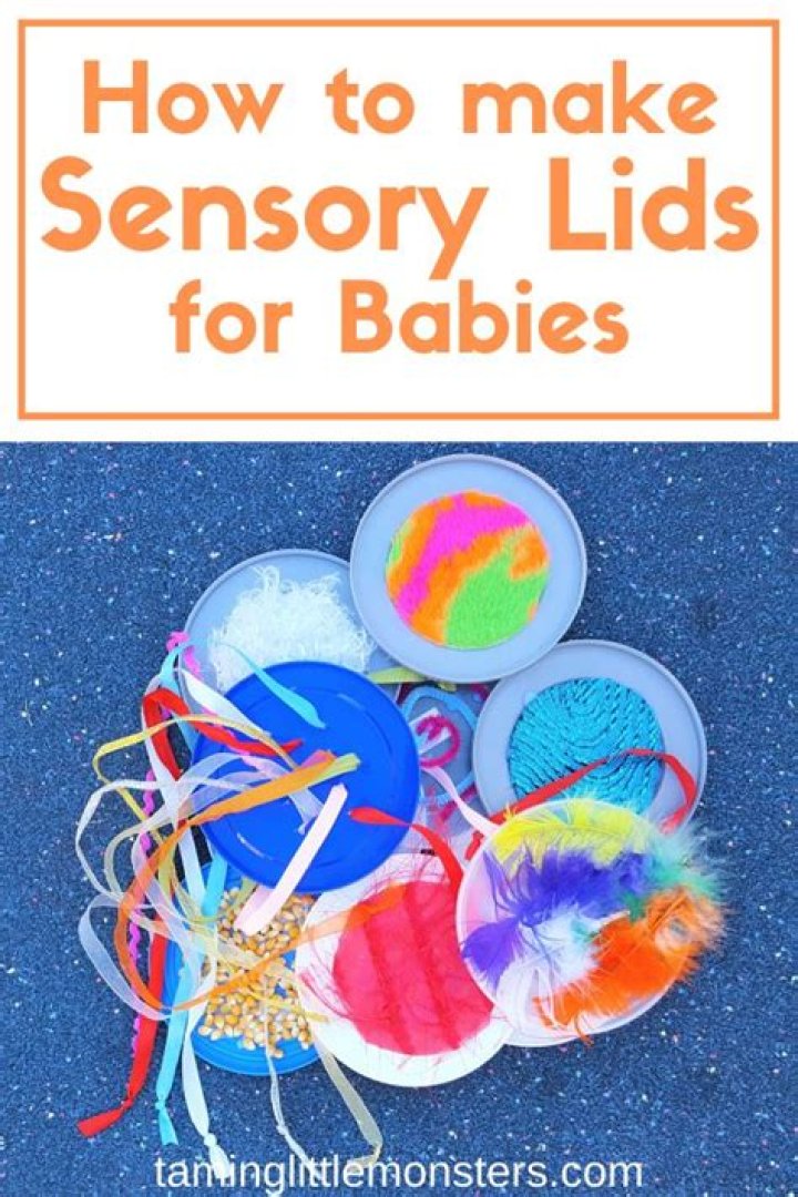 Sensory organ with lids