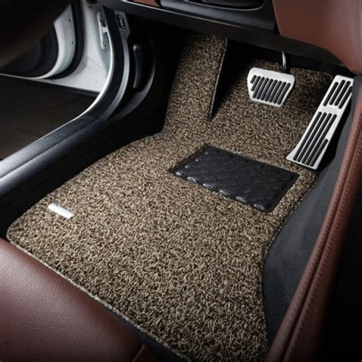 They protect car-floor carpets from wet shoes