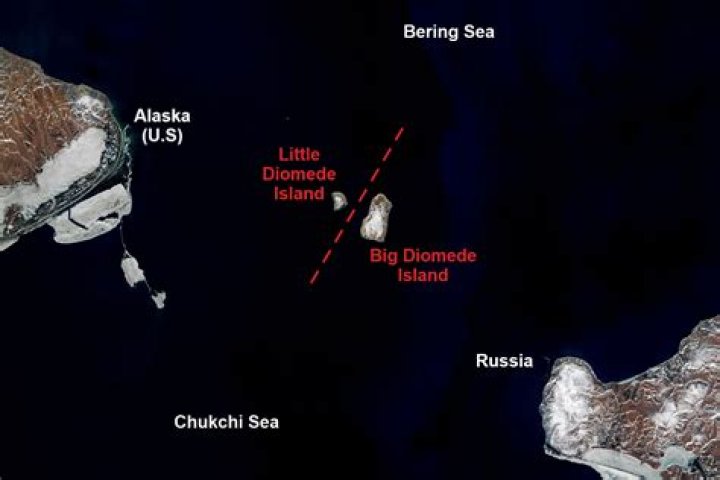 What animals live on Little Diomede Island?