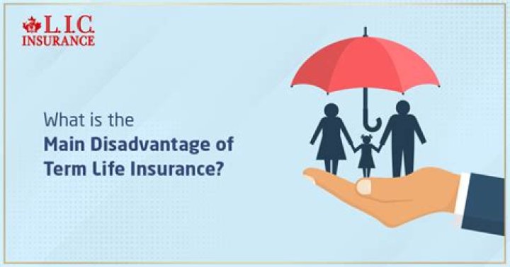 What are the disadvantages of life insurance?