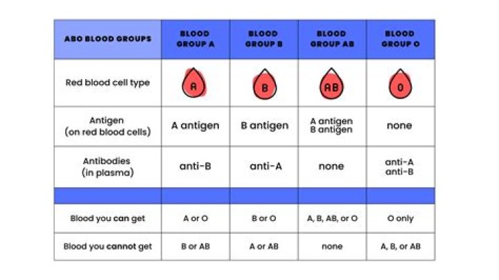 What blood type has the highest IQ?