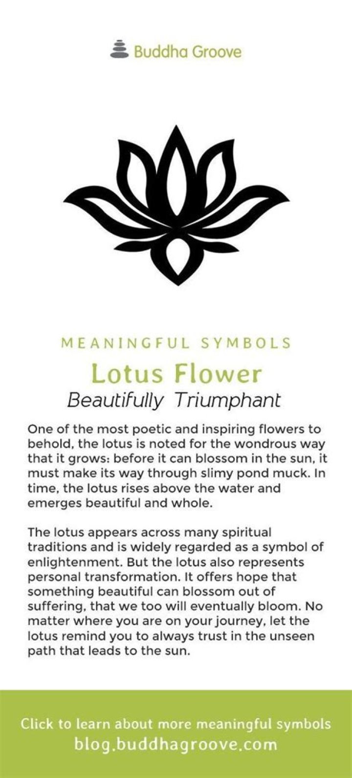 What does a lotus symbolize?
