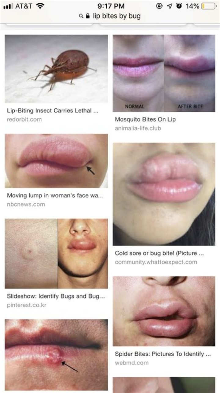 What does it mean if he bites your lip?