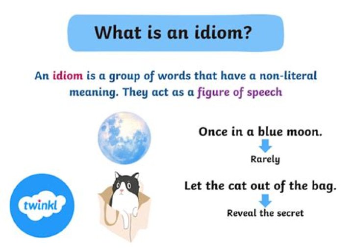 What does the idiom run short of mean?