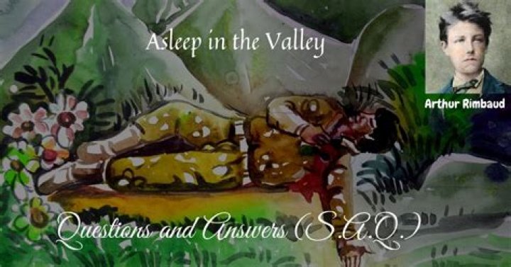 What does the word hollow refer to in the poem asleep in the valley?