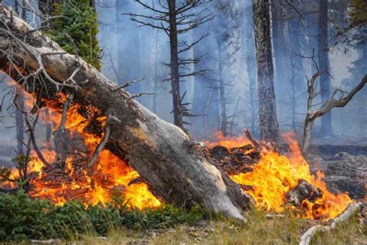 What is a Bravo fire?