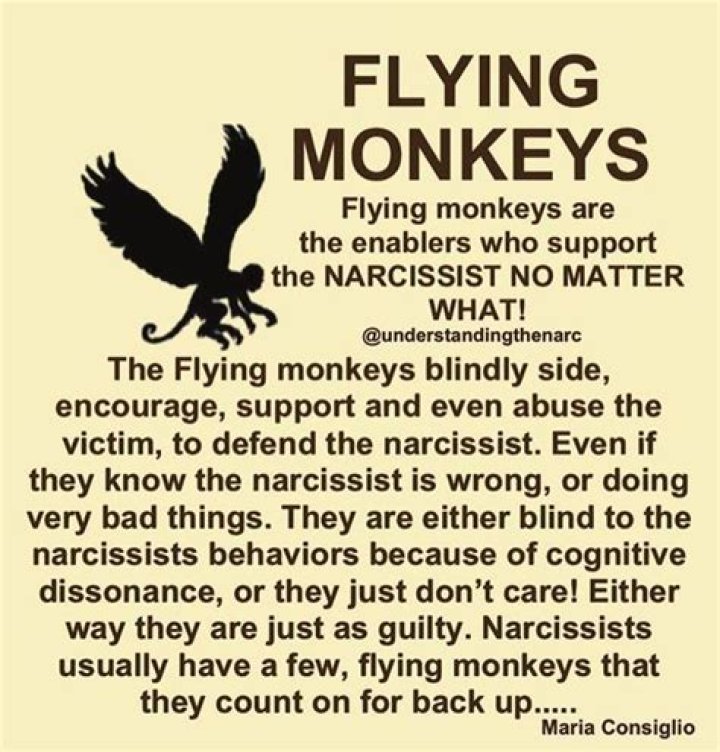 What is a flying monkey narcissist?