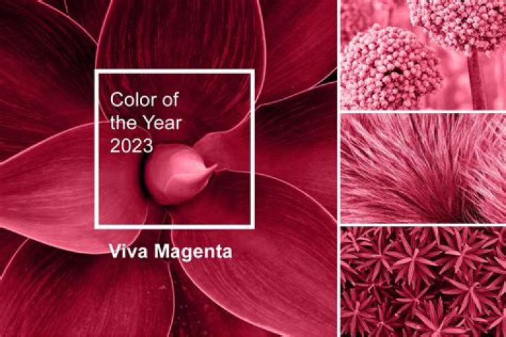 What is the color of the year 2001?